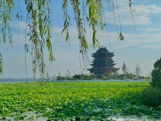 Suzhou Marriott Hotel Yangcheng Lake - 1