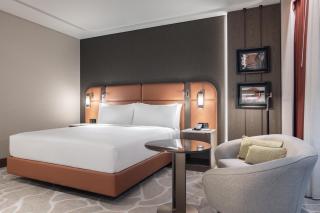Hilton Istanbul Airport - 6
