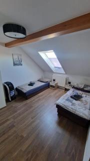FLEX Aparts - möblierte Wohnung in Zwickau - 1