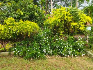 Samadhi Holiday Resort - 4