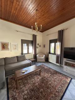 Elassona Comfort Home - 8