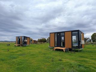 Alpaca Paddock X by Tiny Away - 6