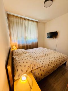 Pearl Wellness Apartman - 3