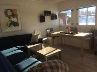 Apartment in the mountains, a paradise all year round - 0