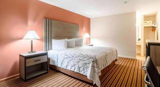 Americas Best Value Inn Heflin - 5
