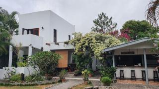 dilo tree lodge - 3