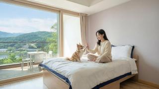 Gapyeong Yeonkkocchosu Pet Pension - 8