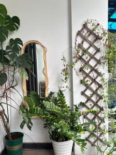 Mây Huế Homestay - 0