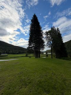Velfjord overnatting, frittliggende og fredelig - 8