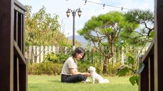 Gapyeong Art Pension - 3