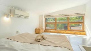 Hongcheon noilgangmaeul Pet Pension - 4