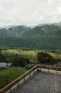 JARDIN de PULUONG - 1
