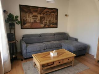 Maison 8 pers - Salle de jeux - Jardin - Animaux OK - 5