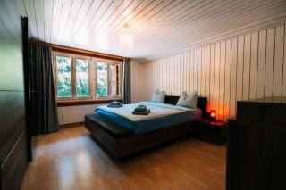 Spacious Apartment near Interlaken & Grindelwald - 5