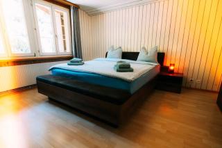 Spacious Apartment near Interlaken & Grindelwald - 3