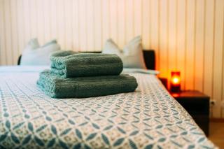 Spacious Apartment near Interlaken & Grindelwald - 2