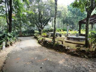 Puthuthottam Annexe - Valparai - 9