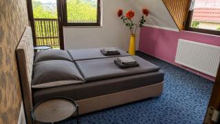 Spacious Holiday Apartment in Tiszafred near Lake Tisza - 9