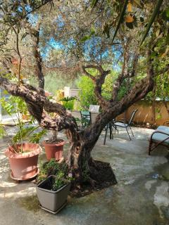 Lefki's country house Heraklion Crete - 9