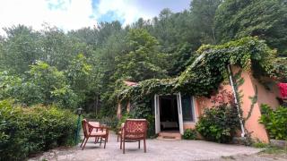 Escape cottage Nathia Gali - 6