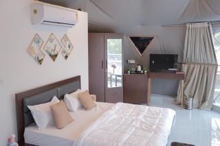 Shaya Farms - 9