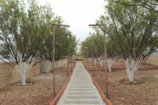 Shaya Farms - 5