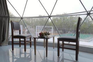 Shaya Farms - 3