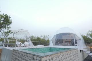 Shaya Farms - 2