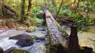 Tuscia house - 6