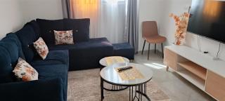 Palace homes - 9