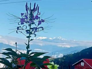 Drishti Homestay By StayApart - 6