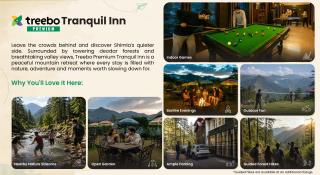 Treebo Premium Tranquil Inn - 9