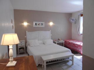 Le Moulin de Courlas - 7