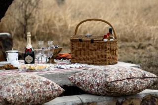 4 Luxury Glamping Tents near Cullinan, Farm - 6