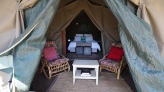 4 Luxury Glamping Tents near Cullinan, Farm - 4
