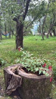 Lori Guest House - 9