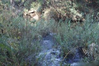 Miller's Rest - 3