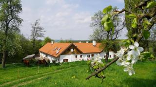 Chalet Feinis - 9