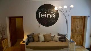 Chalet Feinis - 3