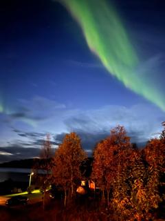 Senja seaside retreat - 6