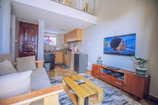 Modern Loft Apartment in Kampala Stylish, comfy - 0
