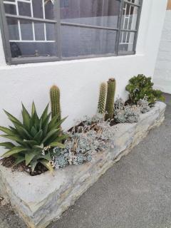 Karoo Windpompie - 2