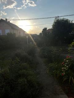 Rustična kuća Golobok - 6