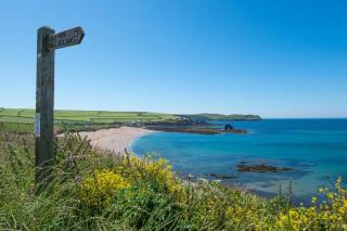 Treetops, a relaxing haven in Bantham South Devon - 6
