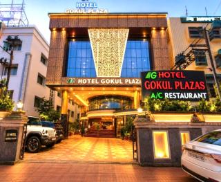 Hotel Gokul Plaza - 0