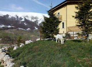 Agriturismo Primo Campo - 8