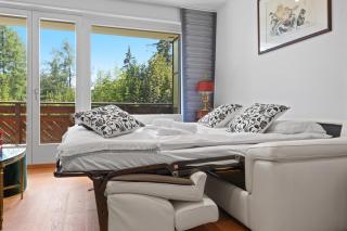 Appartement rénové, grand balcon, 10min des pistes - 3