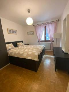 Vienna City Apartment - 1
