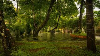 Athirappilly Rainland Resort - Athirappilly - 3