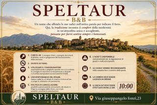 SPELTAUR B&B - Spoltore - 9